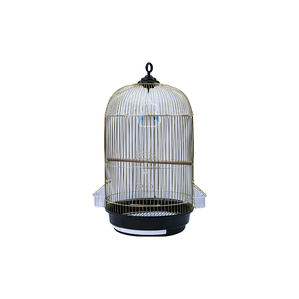 Bird Cage | A410G             