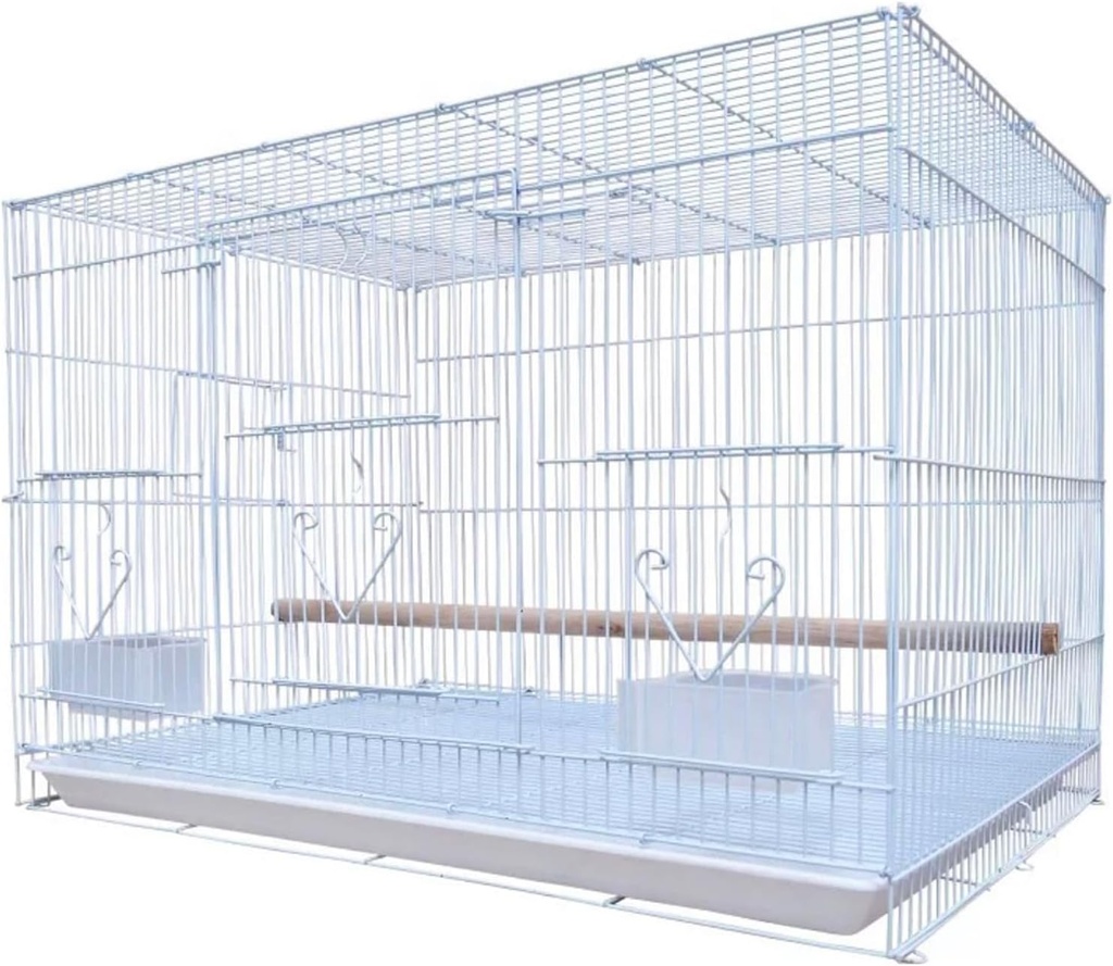  Bird Cage | 601 (6PC)