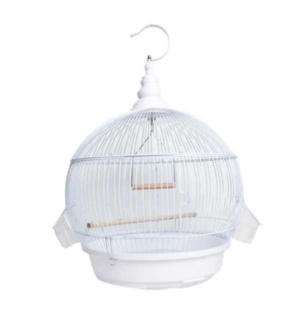 Bird Cage | C405