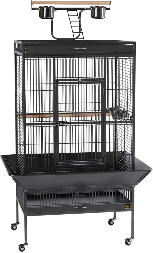 Parrot Cage | A29D             