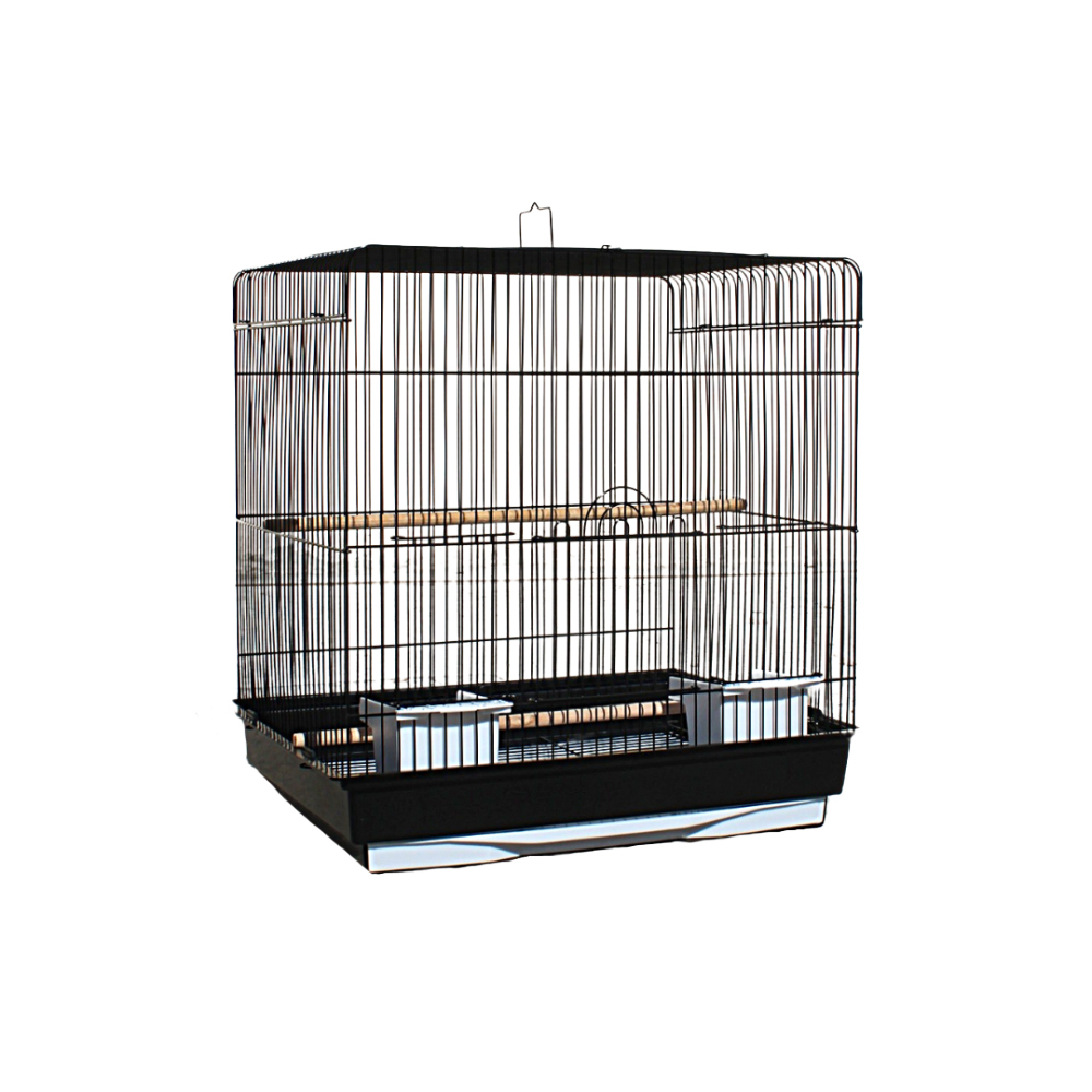 Bird Cage | 615R