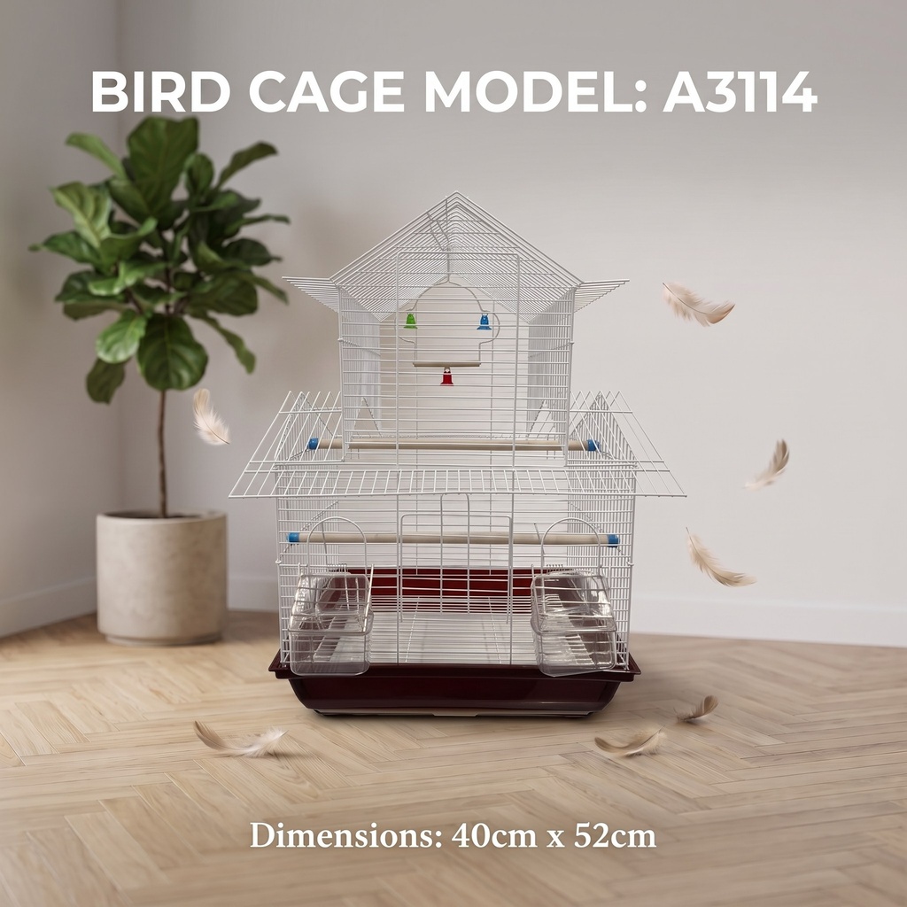 Bird Cage | A3114