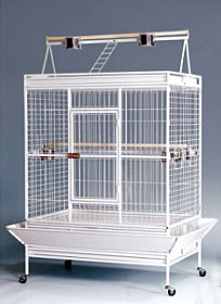 Parrot Cage | A20