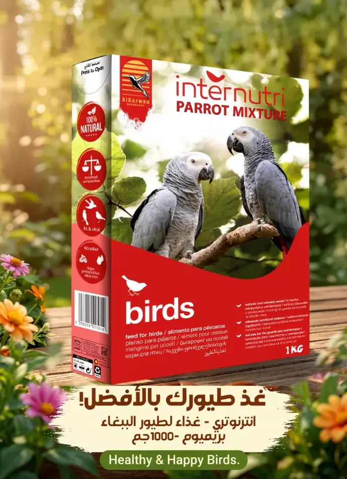 إنترنوتري | غذاء للطيور |  1 كغم