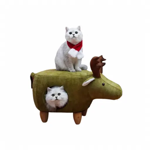 كرسي و بيت للقطط | A-734