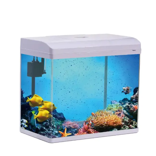 Pufeit | Fish Aquarium | PF825