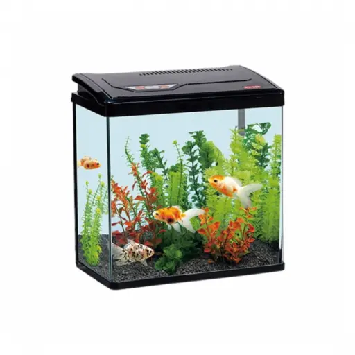 حوض السمك | PY380