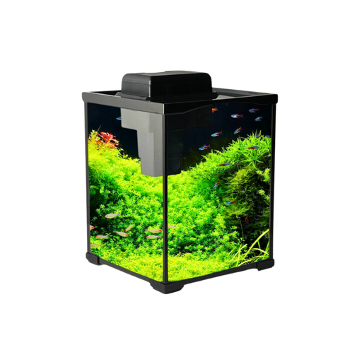 ليكوم | حوض سمك | XK250