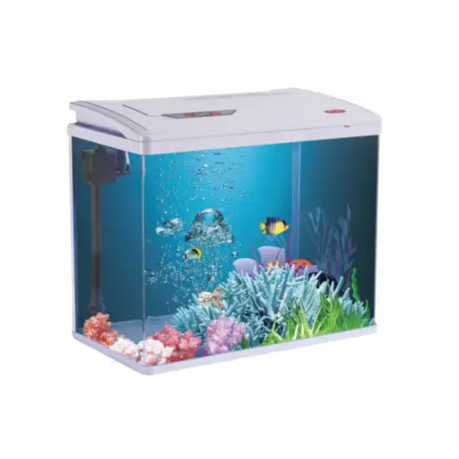 Pufeit | Fish Aquarium | PY480