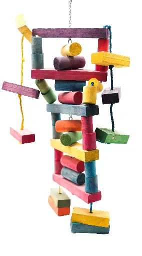 [LBW0253] LBW0253 | لعبة الببغاء