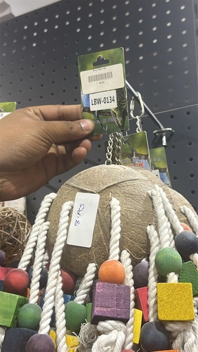 [LBW0134] [LBW0134] لعبة الببغاء.