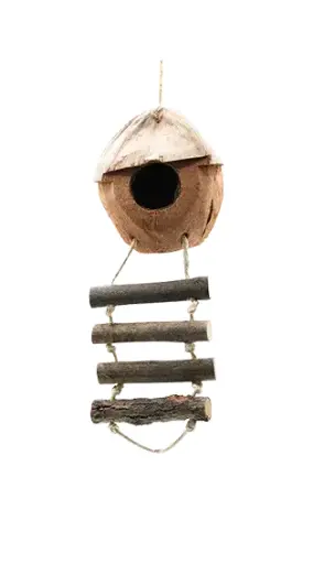 [LBW0715] Parrot Wood Toys