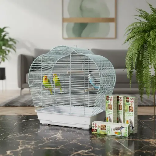  قفص الطيور | A3517