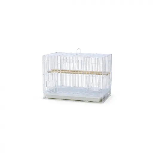 Bird Cage | B05