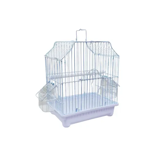  Bird Cage | A1101