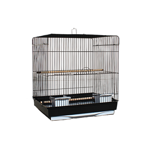 Bird Cage | 615R