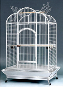 [C503] قفص الببغاء A24W