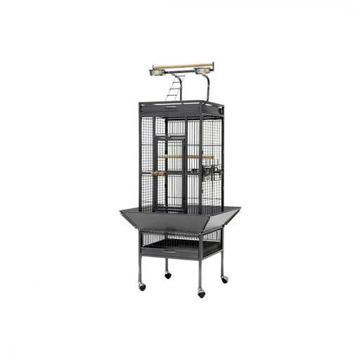 Parrot Cage | A10 